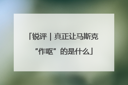 锐评｜真正让马斯克“作呕”的是什么