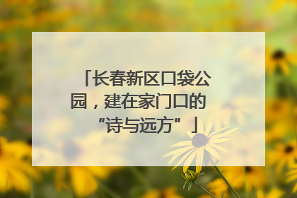 长春新区口袋公园，建在家门口的“诗与远方”