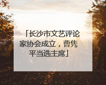 长沙市文艺评论家协会成立，曹隽平当选主席