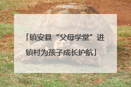 镇安县“父母学堂”进镇村为孩子成长护航