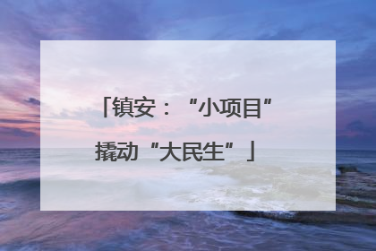 镇安：“小项目”撬动“大民生”