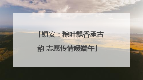 镇安：粽叶飘香承古韵 志愿传情暖端午