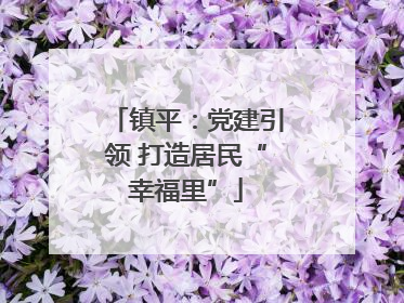 镇平：党建引领 打造居民“幸福里”