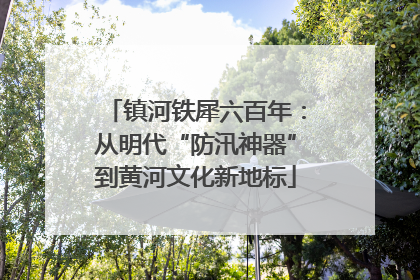 镇河铁犀六百年：从明代“防汛神器”到黄河文化新地标