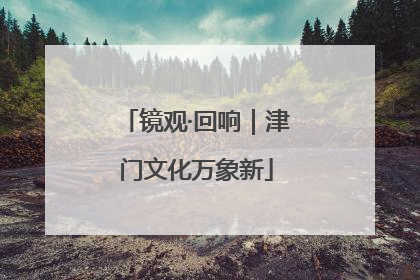 镜观·回响｜津门文化万象新