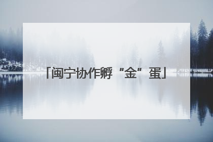 闽宁协作孵“金”蛋