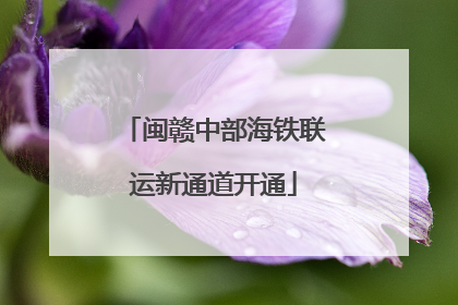 闽赣中部海铁联运新通道开通