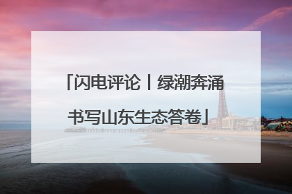 闪电评论丨绿潮奔涌 书写山东生态答卷