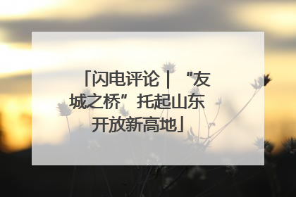 闪电评论｜“友城之桥”托起山东开放新高地