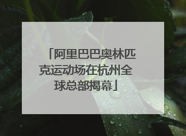 阿里巴巴奥林匹克运动场在杭州全球总部揭幕
