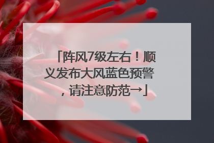 阵风7级左右！顺义发布大风蓝色预警，请注意防范→