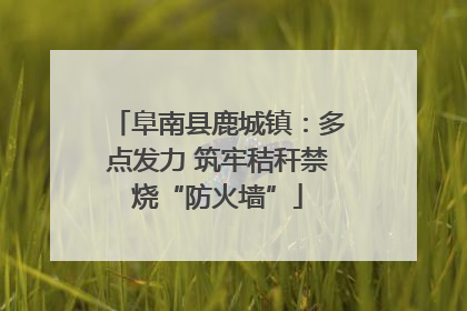阜南县鹿城镇：多点发力 筑牢秸秆禁烧“防火墙”
