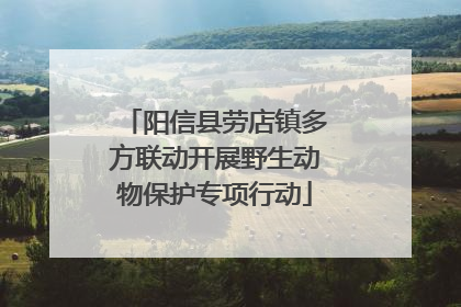 阳信县劳店镇多方联动开展野生动物保护专项行动