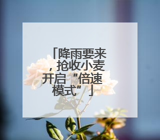 降雨要来，抢收小麦开启“倍速模式”