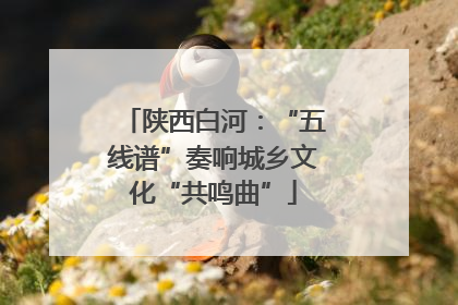陕西白河：“五线谱”奏响城乡文化“共鸣曲”