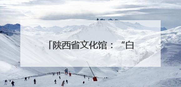 陕西省文化馆：“白+黑”“馆+景”，文化供给向美而聚