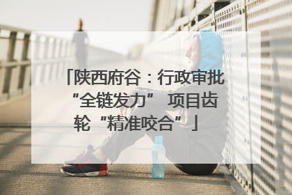 陕西府谷：行政审批“全链发力” 项目齿轮“精准咬合”