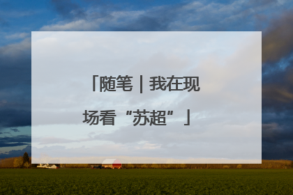 随笔｜我在现场看“苏超”