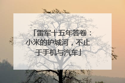 雷军十五年答卷：小米的护城河，不止于手机与汽车