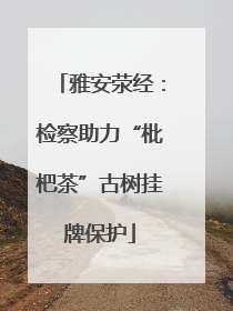雅安荥经：检察助力“枇杷茶”古树挂牌保护