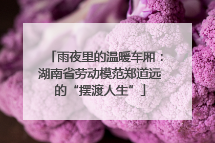 雨夜里的温暖车厢：湖南省劳动模范郑道远的“摆渡人生”