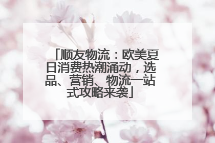 顺友物流：欧美夏日消费热潮涌动，选品、营销、物流一站式攻略来袭