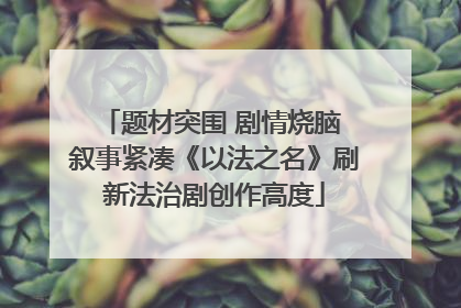 题材突围 剧情烧脑 叙事紧凑《以法之名》刷新法治剧创作高度