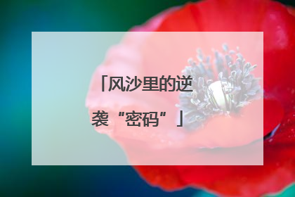 风沙里的逆袭“密码”
