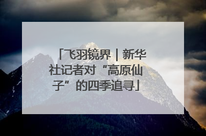 飞羽镜界｜新华社记者对“高原仙子”的四季追寻