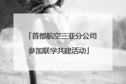 首都航空三亚分公司参加联学共建活动