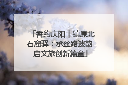 香约庆阳｜镇原北石窟驿：承丝路遗韵 启文旅创新篇章