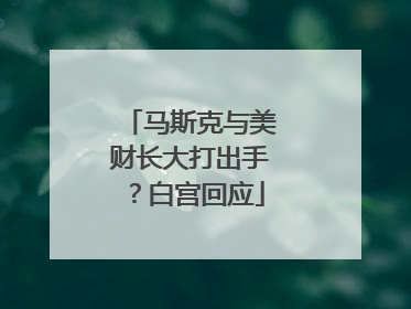 马斯克与美财长大打出手？白宫回应