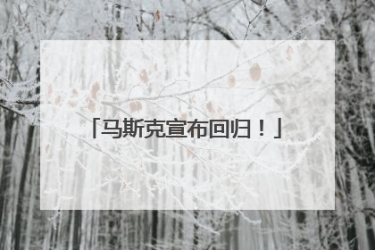 马斯克宣布回归！