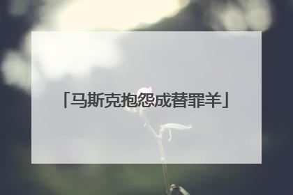 马斯克抱怨成替罪羊