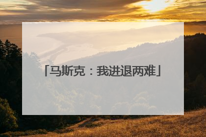 马斯克：我进退两难