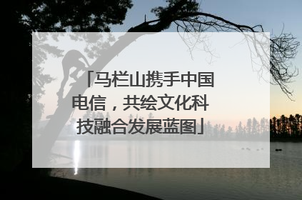 马栏山携手中国电信，共绘文化科技融合发展蓝图