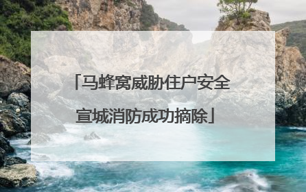 马蜂窝威胁住户安全 宣城消防成功摘除