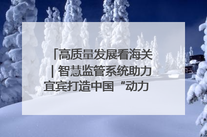 高质量发展看海关｜智慧监管系统助力宜宾打造中国“动力电池之都”