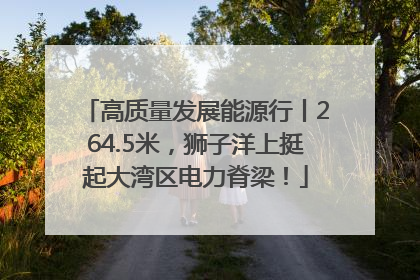 高质量发展能源行丨264.5米，狮子洋上挺起大湾区电力脊梁！