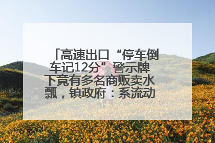 高速出口“停车倒车记12分”警示牌下竟有多名商贩卖水瓢，镇政府：系流动摊位，已多次劝离