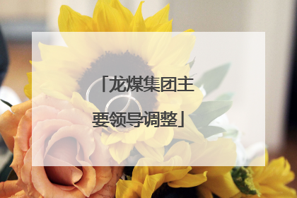 龙煤集团主要领导调整