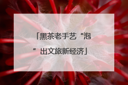 黑茶老手艺“泡”出文旅新经济