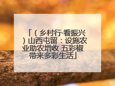 （乡村行·看振兴）山西屯留：设施农业助农增收 五彩椒带来多彩生活
