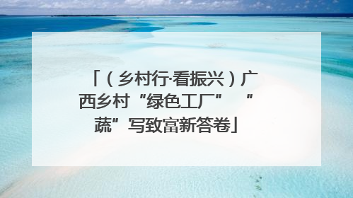 （乡村行·看振兴）广西乡村“绿色工厂” “蔬”写致富新答卷