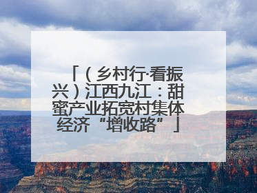 （乡村行·看振兴）江西九江：甜蜜产业拓宽村集体经济“增收路”