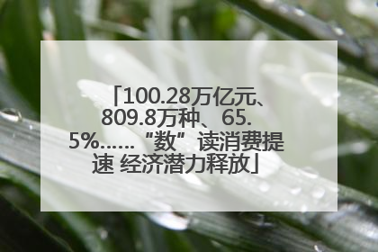 100.28万亿元、809.8万种、65.5%……“数”读消费提速 经济潜力释放