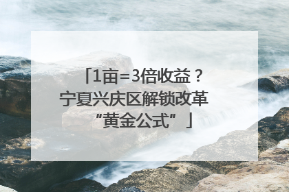 1亩=3倍收益？宁夏兴庆区解锁改革“黄金公式”
