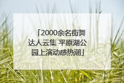 2000余名街舞达人云集 平原湖公园上演动感热潮