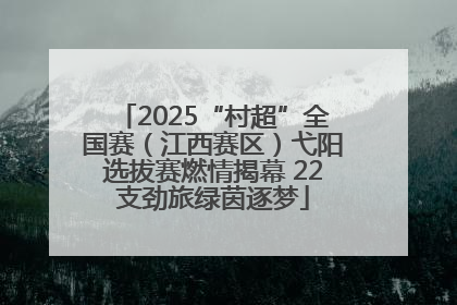 2025“村超”全国赛（江西赛区）弋阳选拔赛燃情揭幕 22支劲旅绿茵逐梦