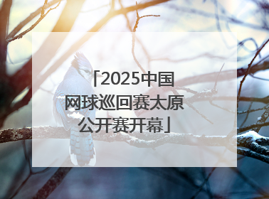 2025中国网球巡回赛太原公开赛开幕